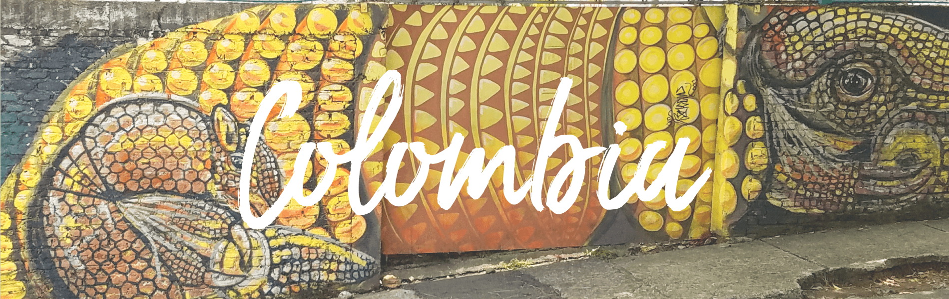 Colombia Header Image